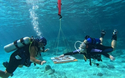 Новый рекорд Гиннеса по подводному домино установили дайверы на Кюрасао