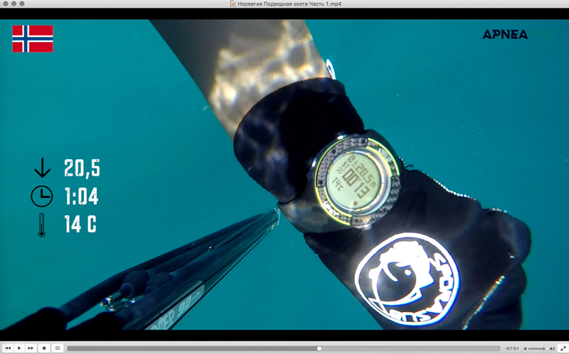 Как сделать красивое видео о подводной охоте