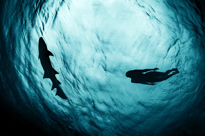 Особенности подводной модельной фотосъёмки на Мальдивах