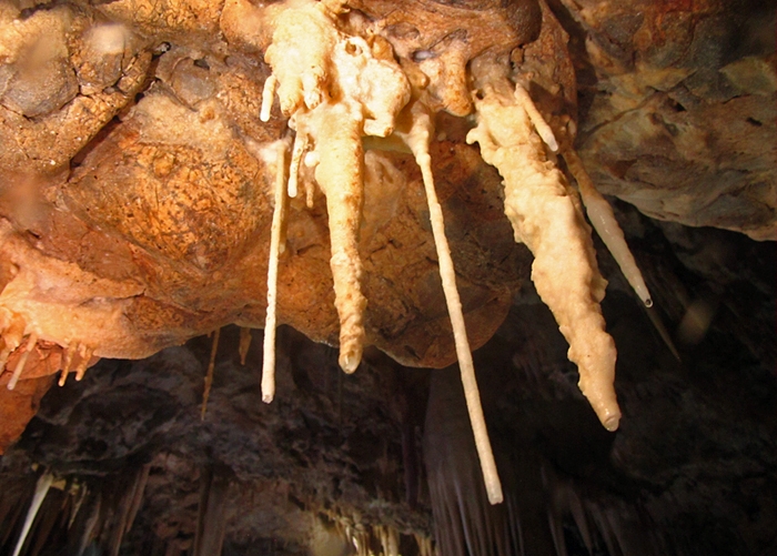 Дайвинг на Крите – Пещера слонов