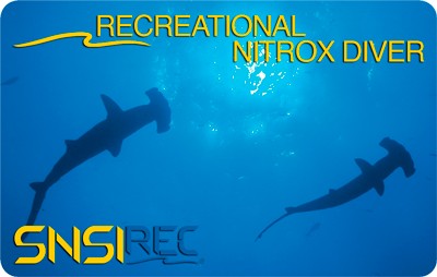 Курс обучения дайвингу SNSI Recreational Nitrox Diver