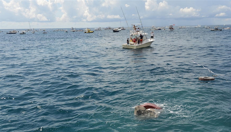 Уникальный дайв-сайт у берегов Майами – катастрофа в шаге от успеха