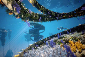 Плавучий искусственный риф соорудят в Австралии
