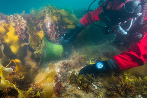 Начался новый подводно-архелогический сезон на севере Канады