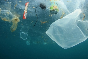 Западная Австралия вводит запрет на одноразовый пластик