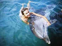 Дрессированный дельфин афалина