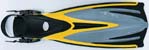 FY