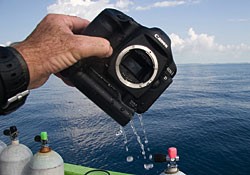 Боитесь, что ваш бокс для подводной фотосъемки зальет водой? Боитесь, что ваш бокс для подводной фотосъемки зальет водой?