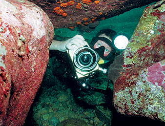Подводная фотография. Фотоновости уходящего 2008 года.