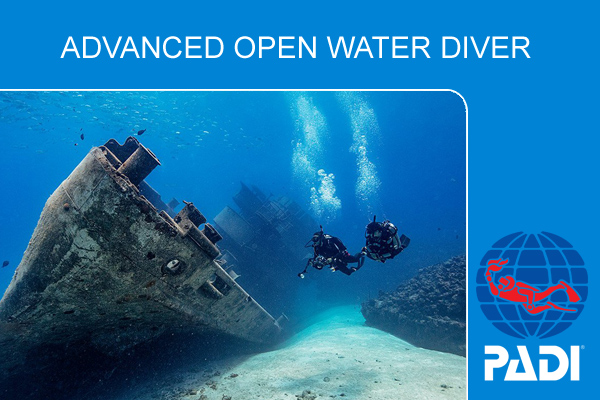 Курс обучения дайвингу PADI Advanced Open Water Diver