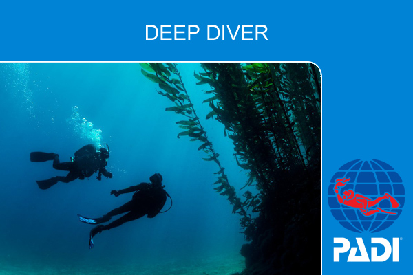 Курс обучения дайвингу PADI Deep Diver