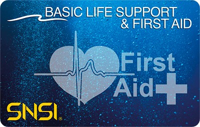 Курс обучения дайвингу SNSI Basic Life Support and First Aid
