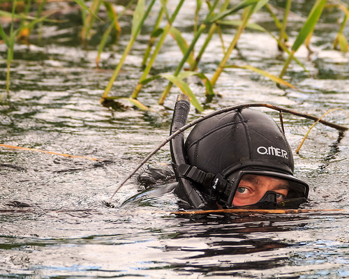 Фотоконкурс 2014 - Подводная охота - Охотник